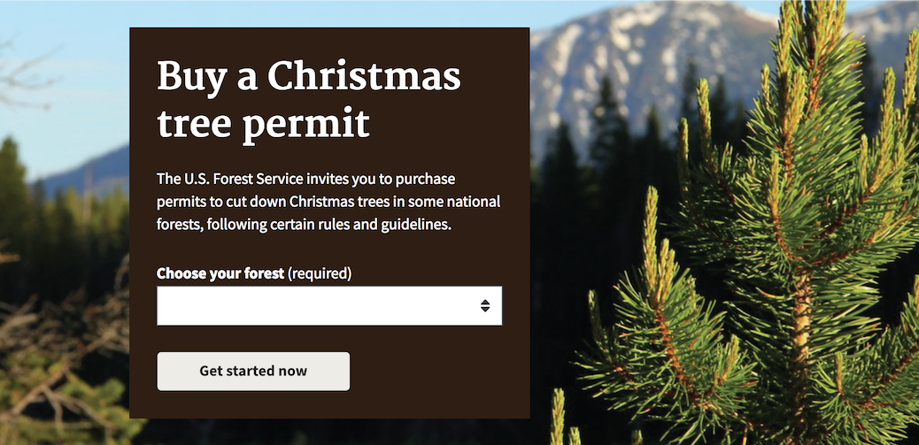 Screenshot of the Forest Service website for buying a permit to cut down a Christmas tree in a national forest