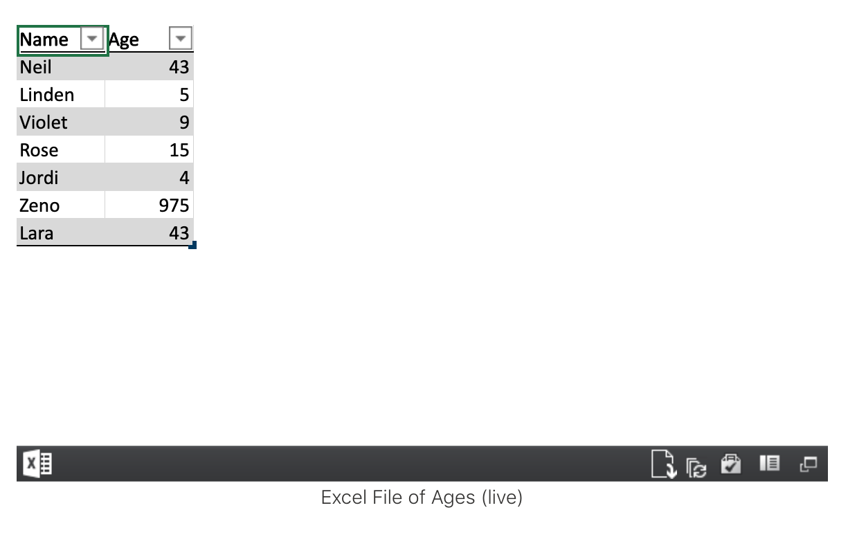 Embedded Excel Document