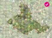 Dearne Valley