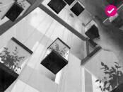 University of Sheffield - Third Year 09-10