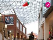 TEN Study Tour to Belfast
