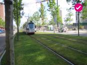 TEN Group Study Tour to Lille and Roubaix