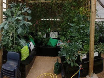 Real Food Wythenshawe : Biosphere