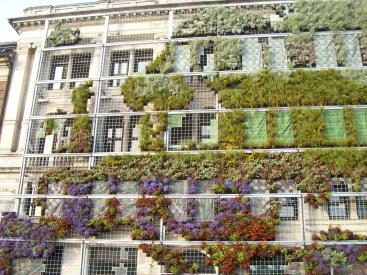 European Environment agency offices, Copenhagen