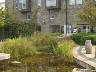 Eco neighbourhood, Bo01 Malmo