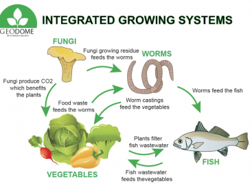 Geodome integrated Growing Systems