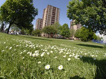 Hamer Park - Old Trafford