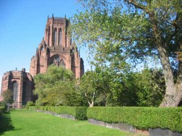 Liverpool Cathedral Gardens