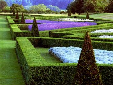 Parterre