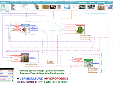Resource Flows and symbiotic relationships